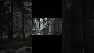 Build a small survivor cabin with large split beams #shorts