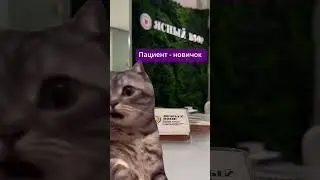 Наши любимые пациенты #shorts #short
