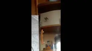 Телекинез 3 (ЧУДЕСА рассветного Солнца)