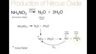 Nitro-Oxide-Production