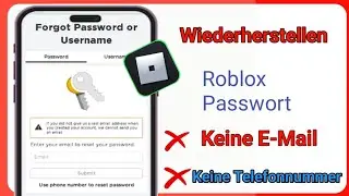 So setzen Sie Ihr Roblox-Passwort ohne E-Mail zurück (2024) – Holen Sie sich Ihr Roblox-Konto zurück