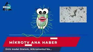 Mikrohaber Animasyonu