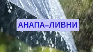 5 августа 2024 г.