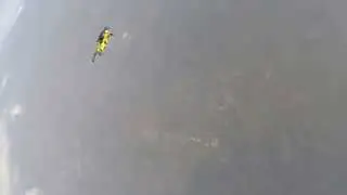first wingsuit cross bow with Henny Wiggers @ Skydive Teuge
