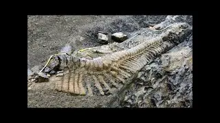 12 Most Amazing Recent Archaeological Finds