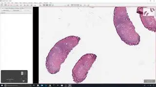2 - Opening images, viewing properties