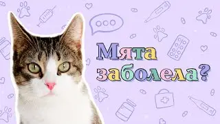 МЯТА БОЛЕЕТ? ЧТО С ЕЁ ЗДОРОВЬЕМ?!