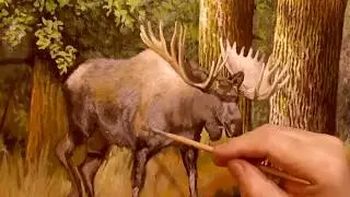 КАК ВПИСАТЬ  ЛОСЯ В ГОТОВУЮ КАРТИНУ    А,  МИШИН