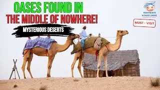 Desert Miracles: Mysterious Oases That Shouldn’t Exist