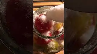 Томаты без уксуса и лимонной кислоты со сливой!