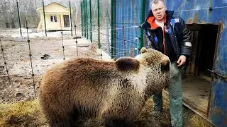 Покатай меня моя лошадка.