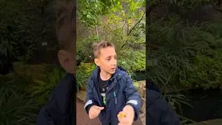 ТЕПЕРЬ Я ЗНАЮ ВСЁ😅! ЛИМОНЫ, ПОМЕЛО, И ВСЁ ЭТО В БОТАНИЧЕСКОМ САДУ ПЕТРА ВЕЛИКОГО