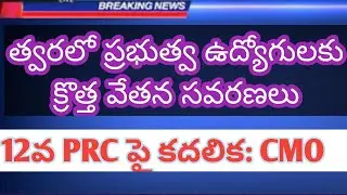 ప్రభుత్వ ఉద్యోగుల 12వ PRC కారణాలు మరియు వివరాలు