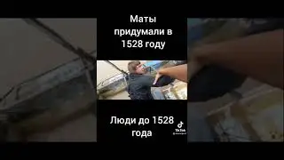 Комаров упал в воду 