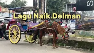 NAIK DELMAN | lagu naik kuda delman