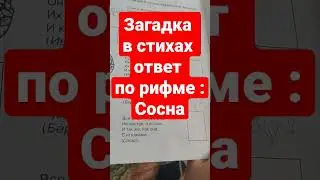 Загадка в стихах  сосна,ответ по рифме