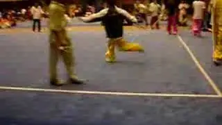 9th Wushu World Championship