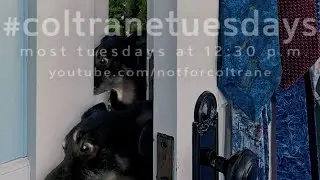 #coltranetuesdays - s.4.5, ep.26
