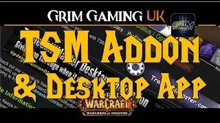 WoW Addons: TradeSkillMaster & Desktop App
