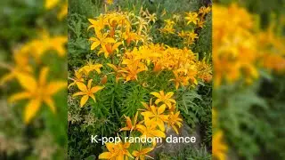 K-pop random dance #kpop #dance