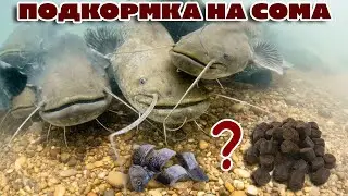 Как прикармливать СОМА. ПРИКОРМКА на сома.