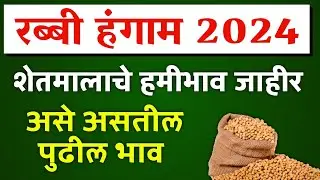 रब्बी हंगाम 2024 हमीभाव जाहीर असे राहणार भाव | Rabbi Hangam 2024 MSP