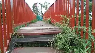 Bukit sakura rekomendasi destinasi wisata kota Bandar Lampung🤩🤩👌👍🏻🤩(1)