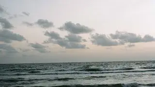 2020 | My Year [Vertical Video]