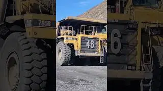 Stay out of this HUGE CAT's Way!