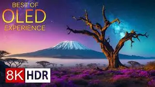 EXPLORING PLANET EARTH 8K HDR – The Ultimate HDR Experience