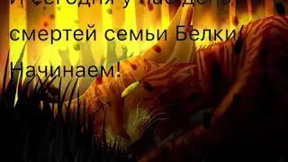 Коты-Воители «Неделя Белки» Смерти