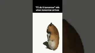 I'll do it tomorrow