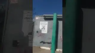 Розыскивается! 😱