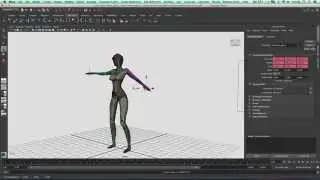 Promotion - Humanoid Robot