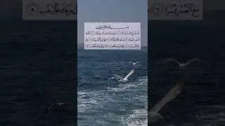 surah inshirah #surahinshirah #quran #quranrecitation