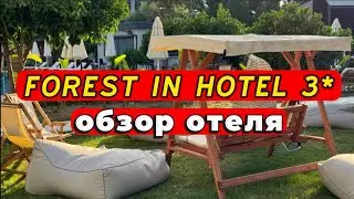FOREST IN HOTEL 3* NEW BOUTIQUE HOTEL 3 STARS, for those who are not ready to overpay