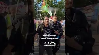 Berlin police arrest young man holding Palestinian flag during Gaza solidarity protest