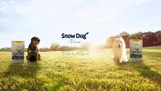 Snow Dog Power, Uma conversa no parque.