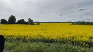 Домик в белорусской деревне ч . 30