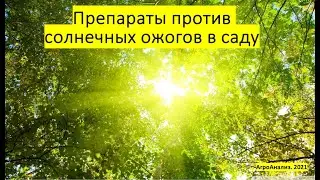 Как спасти урожай от солнечных ожогов?