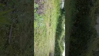 СУПЕР-ТРИММЕР OASIS TB-2500P(R)👍