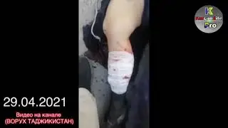як кирзиза бо куштан точико