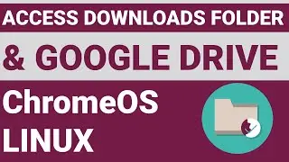 How to access files in ChromeOS Linux