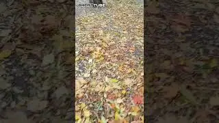 я нашёл призрака на улице с помощью приложения GhostTube