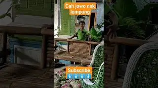 rayyan nggedabrus