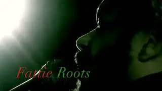 Fattie Roots Sugar Free