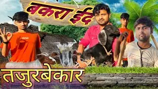 तजुरबेकार | Tazurbekar | Jam studio #shorthindividio