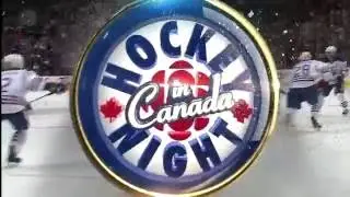 NHL Goalies Getting Hit