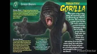 mountain gorilla sound effects