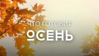 Что осень нам готовит?